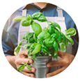 TheFork Come mitigare l’impronta di carbonio nella gestione del tuo ristorante