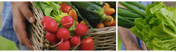 cesta con frutas y verduras. beneficios restaurante