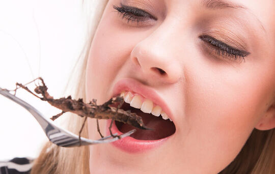 Imagem de mulher a comer insetos