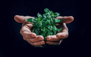 ecoresponsabilite