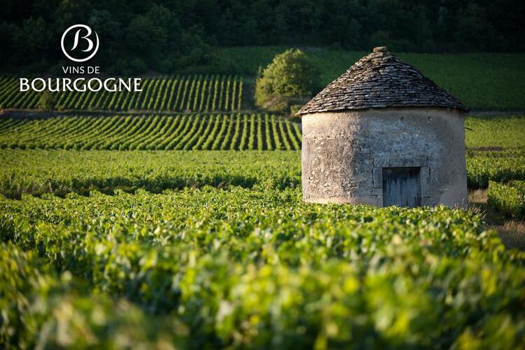 Bourgogne Wines supports the 