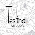 Testina